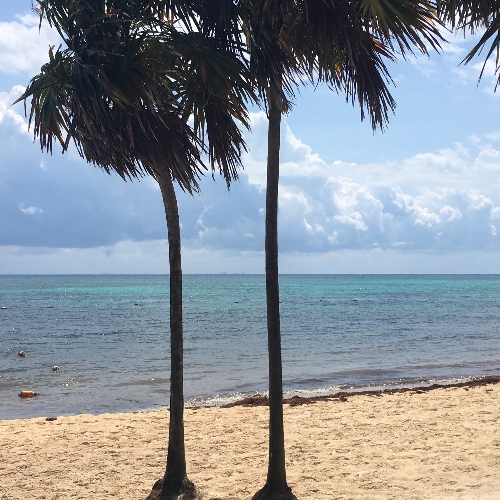 Meet your Posher, Ash